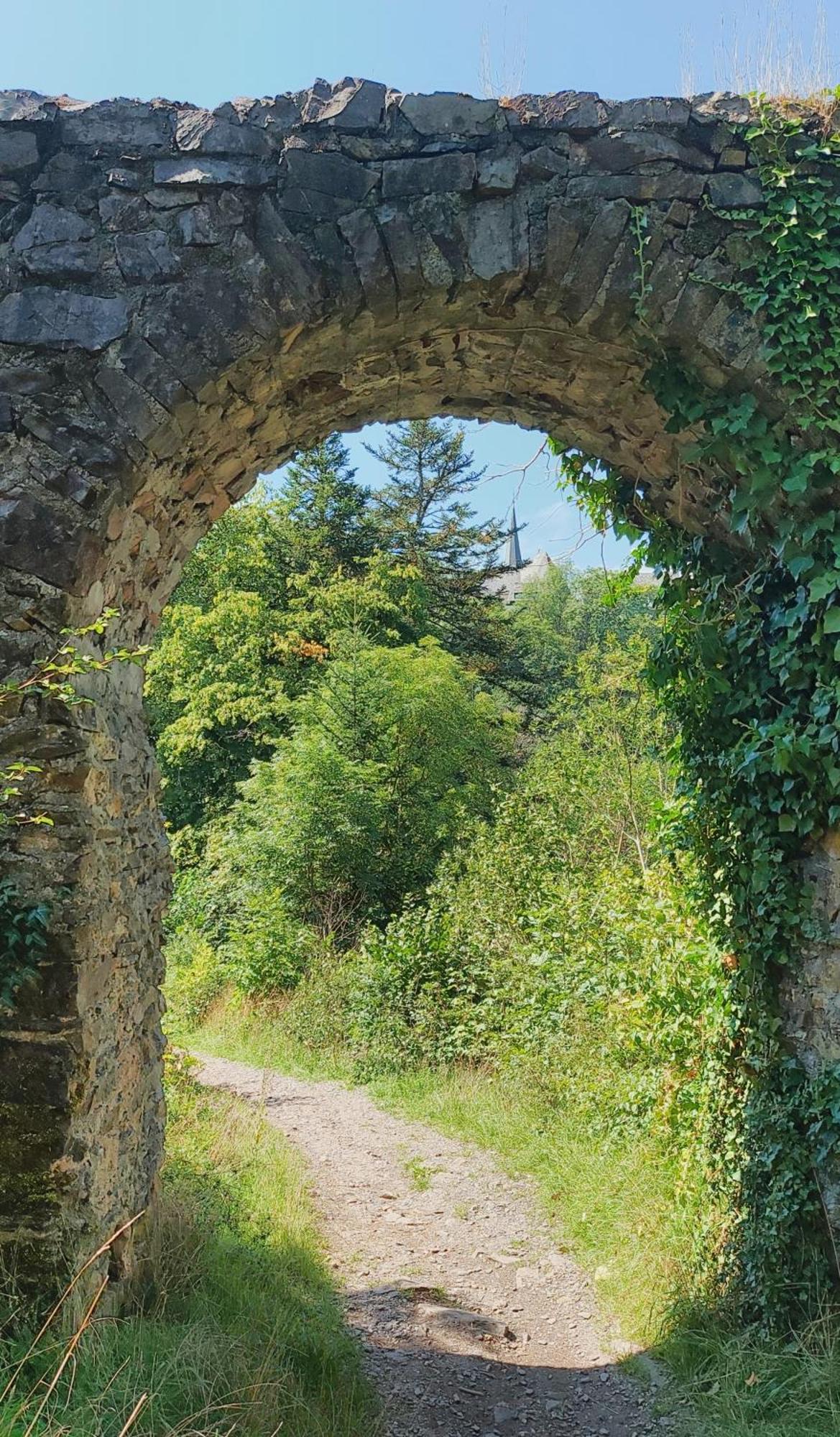 Pension Zur Quelle Deudesfeld エクステリア 写真